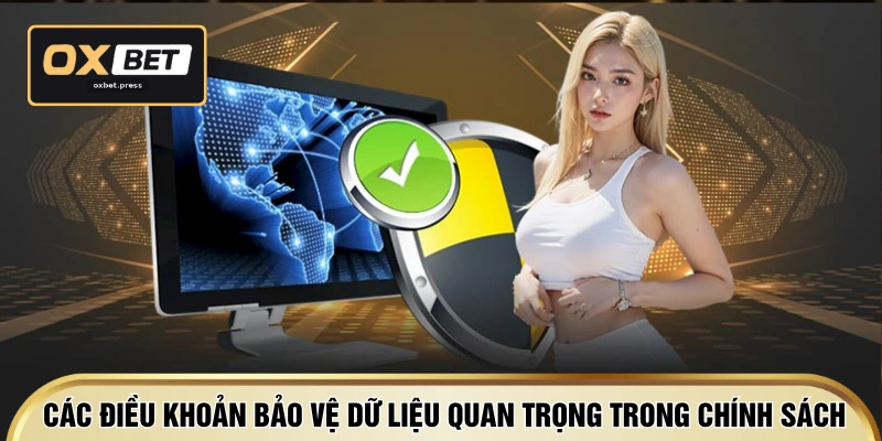 Các điều khoản bảo vệ dữ liệu quan trọng trong chính sách