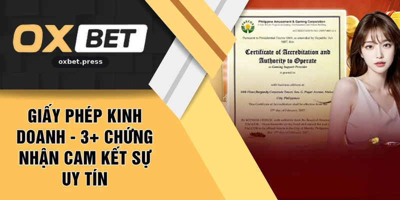 Giấy phép kinh doanh - 3+ Chứng Nhận Cam Kết Sự Uy Tín